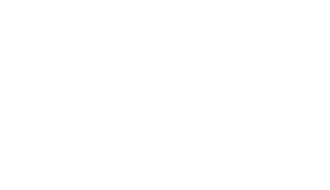 Websitemaster Logo